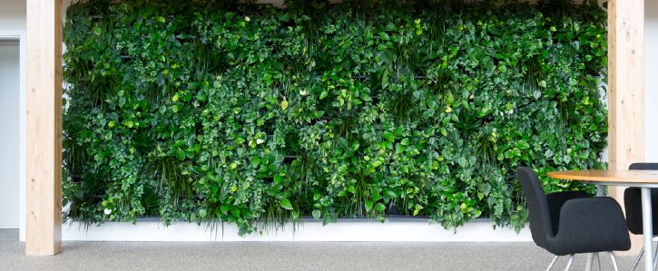 murs vegetals Murs végétaux sur les murs de votre entreprise. Laissez entrer la nature dans votre société