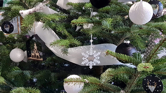 location-sapin-noel-bureau Location de sapins de noël pour votre entreprise