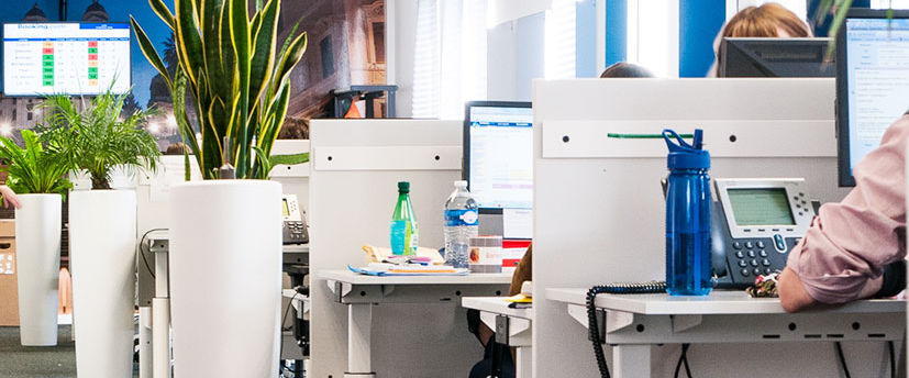 Espace de travail et location de plantes