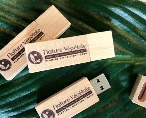 cles-usb-catalogue-nature-vegetale Catalogue Nature Végétale