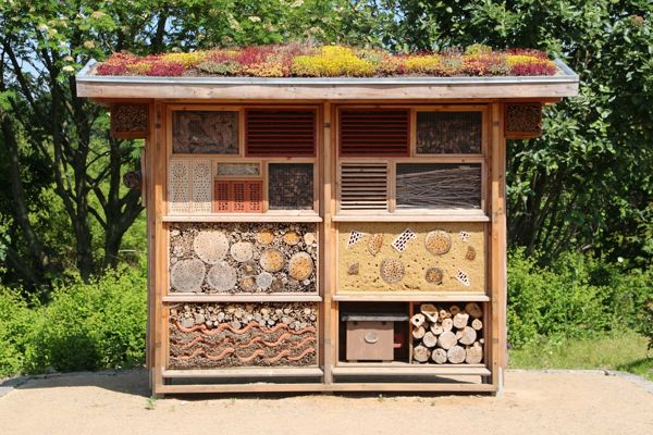 hotel-insectes-biophilie-plantes