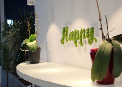 Logo végétalise mousse