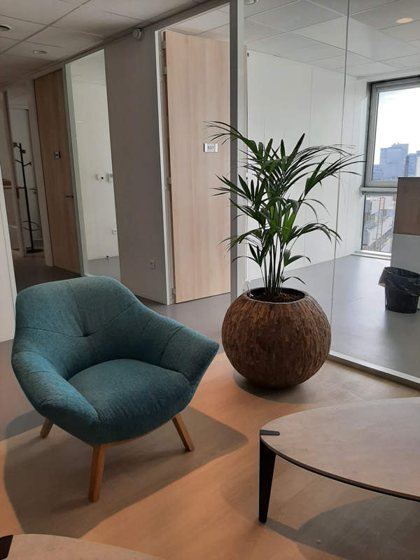 location de plantes pour vos bureaux Location plantes Roncq batiment