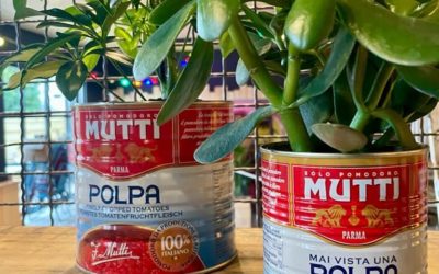 Décoration végétale originale de plantes avec des pots de sauce tomate pour une Pizzeria