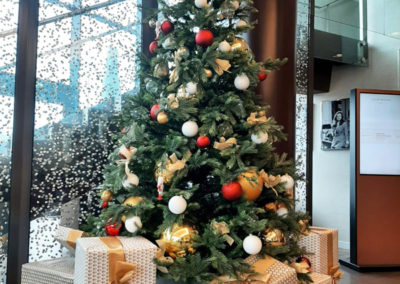 location de sapins noel pour hall d'entree