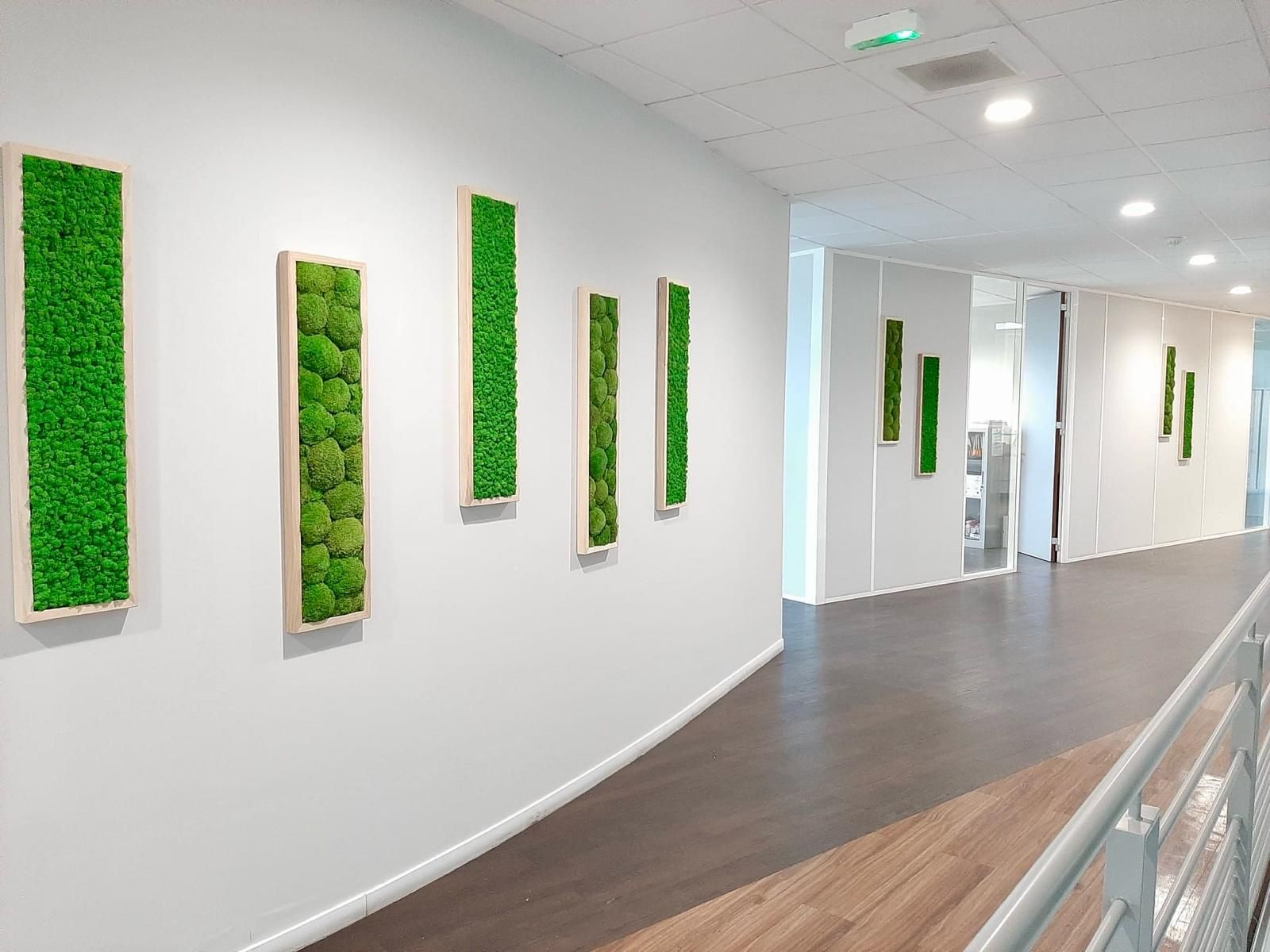 Couloir-cadres-vegetalise-mousse-sans-entretien Poteau intérieur décoratif avec végétalisation
