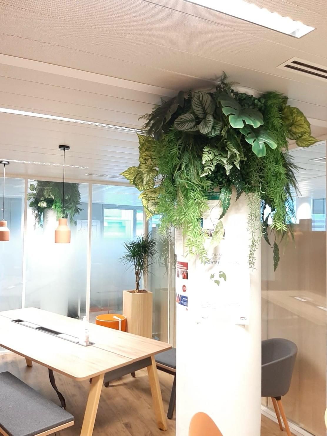 Habillage de poteau en béton par les plantes
