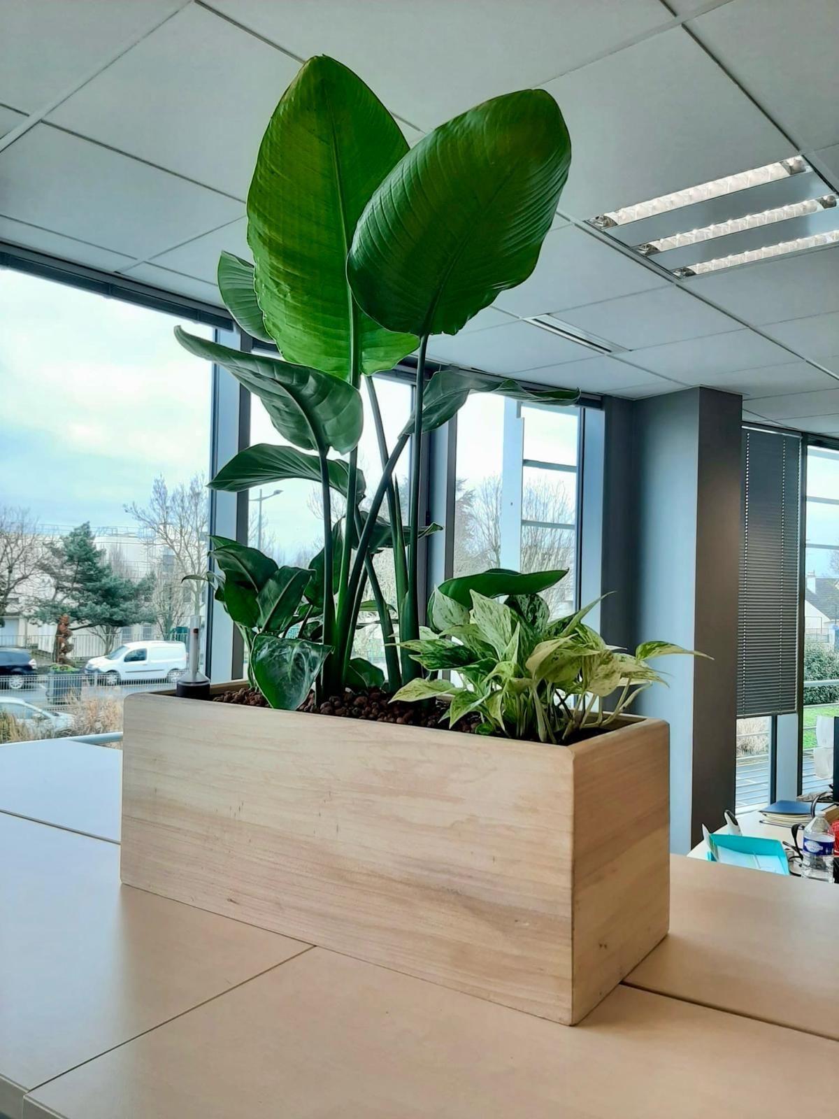 jardiniere-bois-sur-mesure-plantes Poteau intérieur décoratif avec végétalisation
