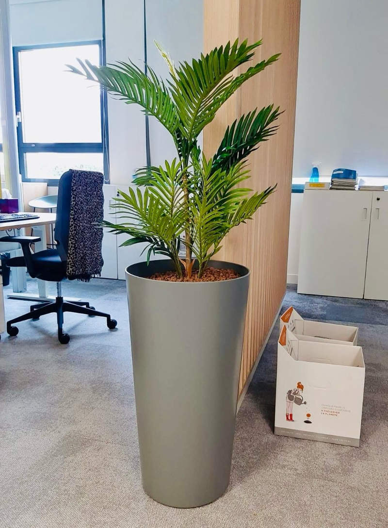 location-de-plante-avec-pot-entreprise Poteau intérieur décoratif avec végétalisation