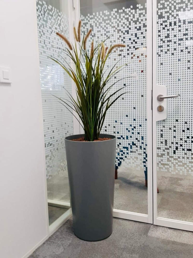 location-pot-plante-bureaux Bien-être au Travail avec nos Pots en Bois Massif et Plantes