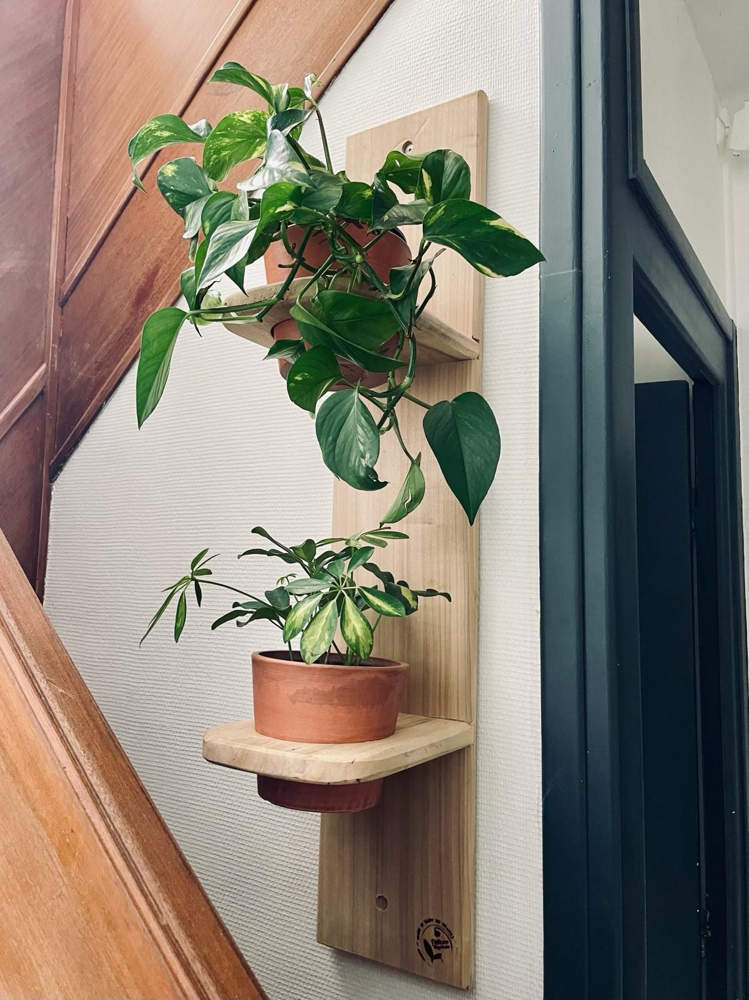 Etagère murale pour montées d'escalier ou couloirs entreprise Jardinière et location de plante