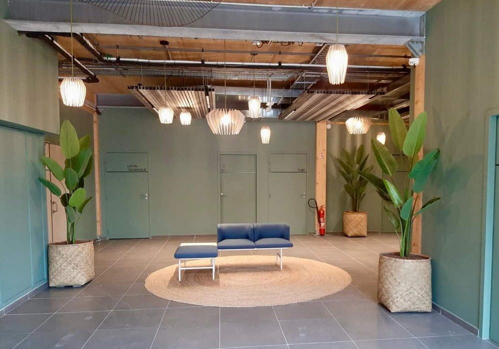 salle d'attente avec pot et plante Jardinière et location de plante