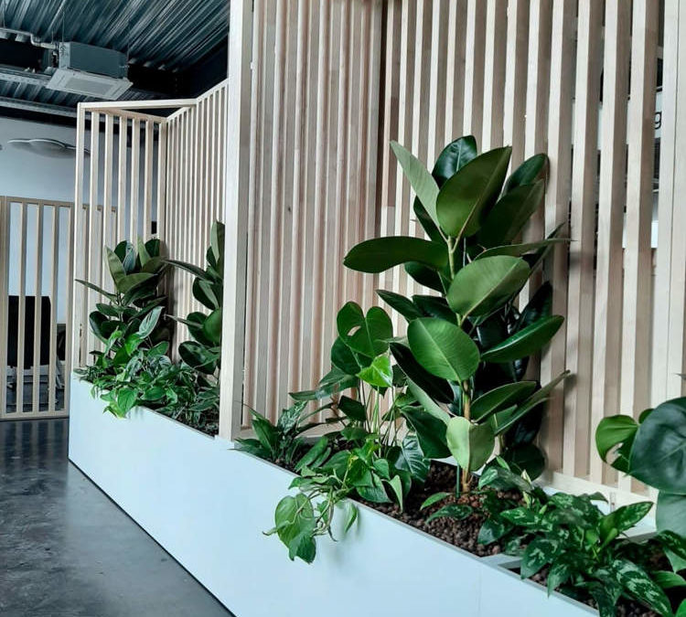 Végétalisation des Espaces Professionnels: Une Collaboration Réussie avec BR-UNITS