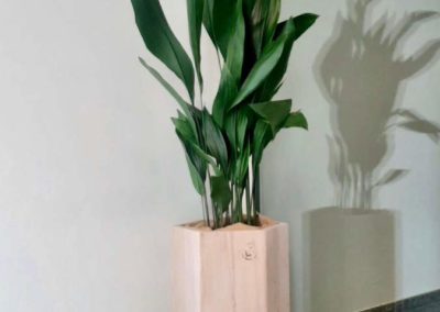 pot en bois avec plantes sur mesure