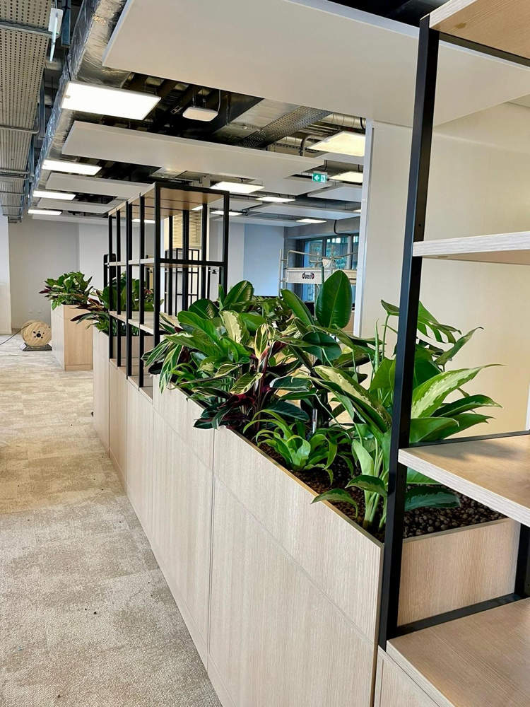 jariniere avec cloison sur meuble bureau Jarinière sur meuble existant
