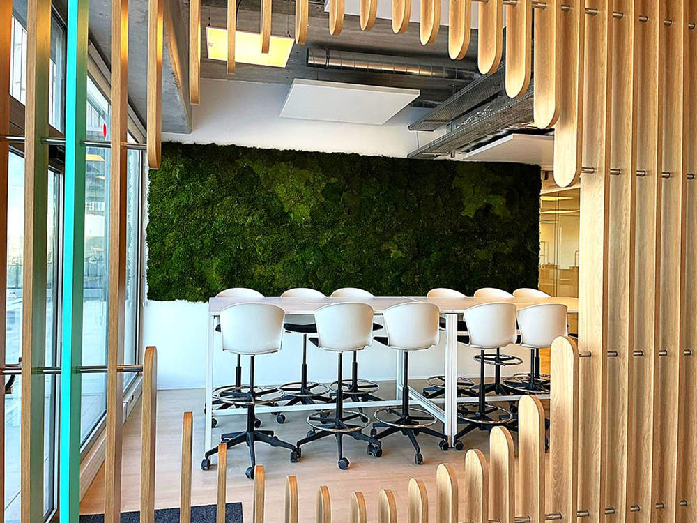 Plante et mousse naturelle pour vos bureaux et salle d'attente Plante et mousse naturelle pour vos bureaux et salle d'attente