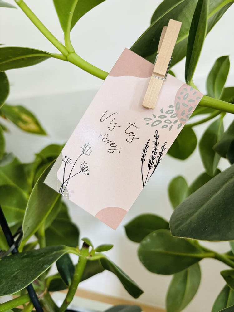 de petits mots positifs vont commencer à fleurir de petits mots positifs vont commencer à fleurir